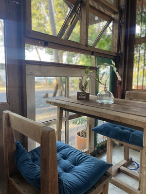 Neighbor Samui