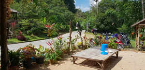 Reggae station 2, meanam