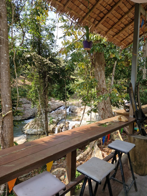 The Falls & Pools Jungle Bar