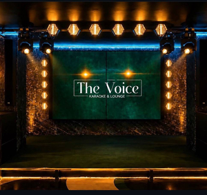 The VOICE Karaoke & Lounge