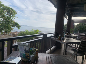 Wild Ginger Restaurant