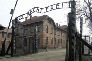 Auschwitz-Birkenau och Kraków: privat bilresa från Katowice