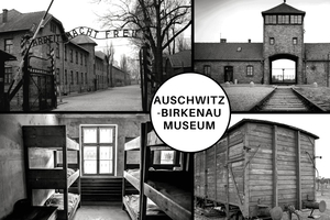 Auschwitz-Birkenau Guided Tour & Transfer from Krakow