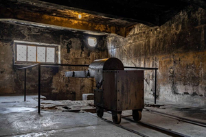 Fra Krakow: Auschwitz-Birkenau Heldagstur