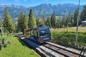Från Krakow: Dagstur i Zakopane och Tatrabergen