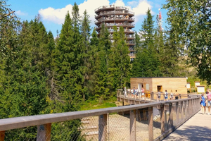 From Krakow: Slovakia Treetop Walk and Zakopane Tour