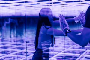 ''House Of Attractions'': Glass Maze Family Ticket 2+1