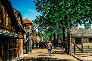 Kraków: Auschwitz-Birkenau Live Guidad tur & upphämtning från hotell