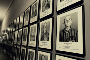 Krakow: Auschwitz-Birkenau privat chaufförstjänst