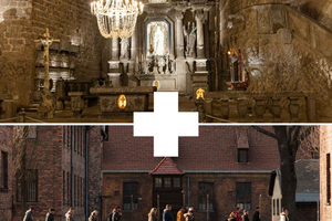 Krakau: dagtour Auschwitz-Birkenau en Wieliczka-zoutmijn