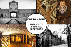 Cracóvia: Excursão guiada de 1 dia a Auschwitz-Birkenau e Mina de Sal