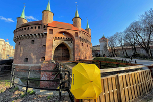Kraków: Old Town & Wawel Castle Walking Tour