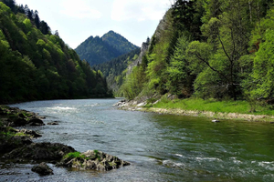 Regio Krakau: toegangsbewijs voor raften in de Dunajec-kloof
