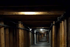 Private City Tour & Wieliczka Salt Mine Visit