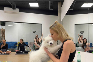 Krakau: Puppyyoga met schattige honden