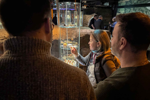 Rynek Underground & Wawel Castle, Cathedral Tour