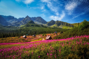 Tatra Mountains and Zakopane Full-Day Private Tour
