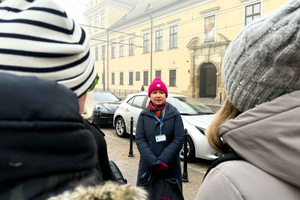Wawel Castle, Cathedral, Old Town and St. Mary's Basilica
