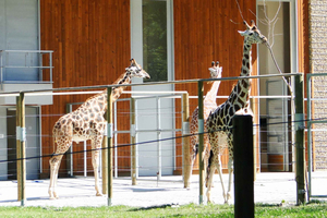 Zoo Entry Ticket with Hotel Pickup and Transfer