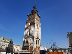 Apartamenty Bracka 6