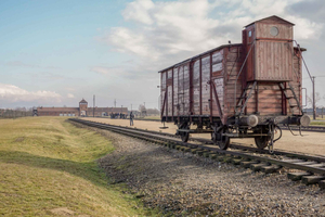 Från Krakow: Auschwitz-Birkenau guidad dagsutflykt