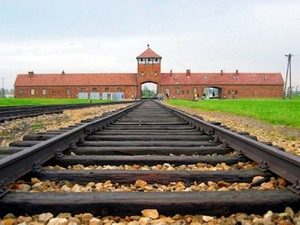 Auschwitz & Salt Mine tour to KrakowTrip.com