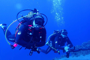 2 PRIVATE GUIDED DIVES