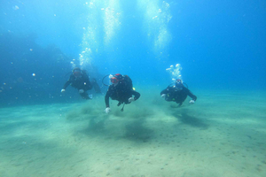 Beginner Diving Experience with 2 Dives