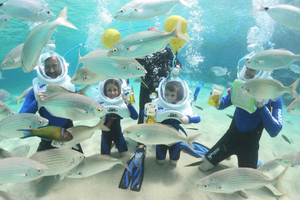 Costa Teguise : Underwater Sea Trek Experience