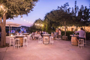 Family Farm Goat Cheese & Wine Tasting Experience