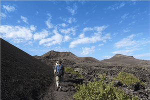 Lanzarote: Hike Across Timanfaya's Volcanic Landscapes