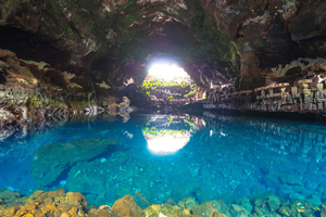Lanzarote North Premium: Cueva Verdes, Jameos Agua, Mirador, and Cactus Garden
