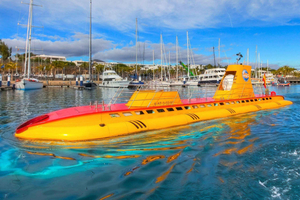 Lanzarote: Real Submarine Dive