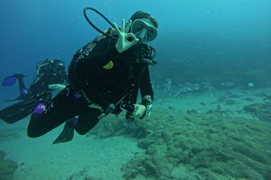 Playa Blanca: Discover Scuba Diving at Flamingo Beach+videos