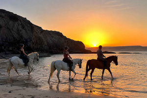 Private Sunset Gallop & Beach Water Ride