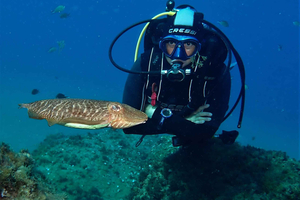 Puerto Del Carmen: Try Scuba Diving with 2 Dives and Photos