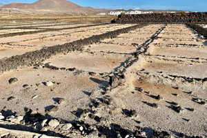 Route guided on the volcanic coast of Lanzarote.