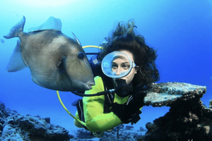 Scuba Diving Baptism and Boat Trip to Flamingo Wall