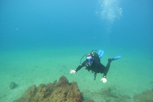 TRY SCUBA - Experience for beginners