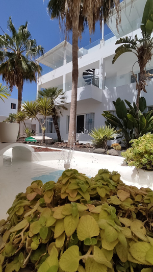 Apartamentos Europa