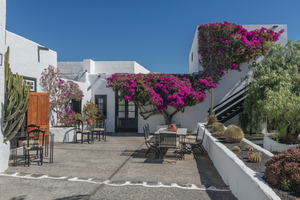 Hotel El Grifo