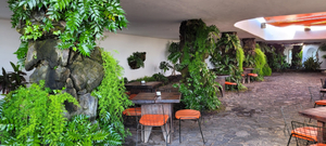 Jameos del Agua - Bar Galería