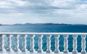 La Paloma Blanca ( The White Dove )