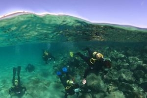 Lanzarote: Prova på scubadykning för nybörjare - 2 dyk