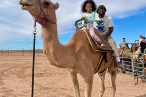 Desert Camel Ride