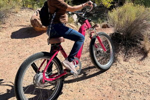 Ghost Town & Mojave Desert E-Bike Tour