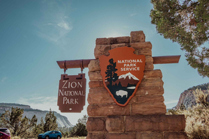 Dagsudflugt til Zion National Park fra Las Vegas