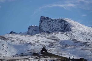 Ab Granada: Sierra Nevada Safari bis zu 2500 Metern Höhe