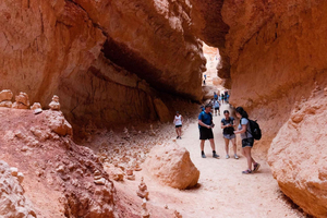 Grand Canyon, Antelope, Bryce and Zion 3-Day Tour