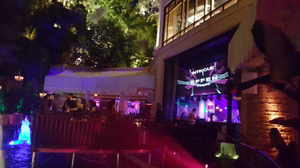 Intrigue Nightclub